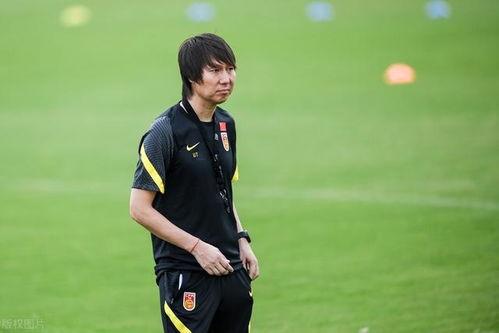 李铁爆料足球报道视频全集,足球报道视频全集深度解析  第2张